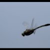 20120528_045